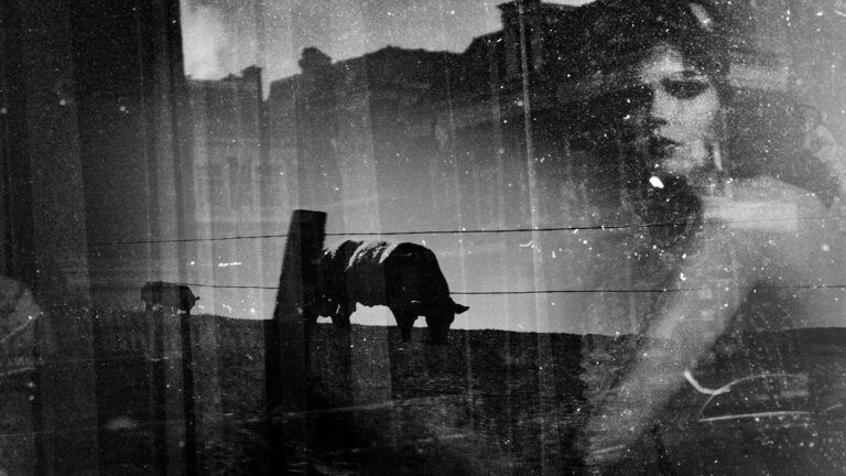 yksi_teos_nayttelysta