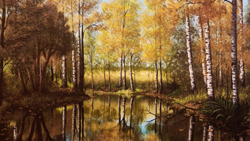 veden muisti -taideteos